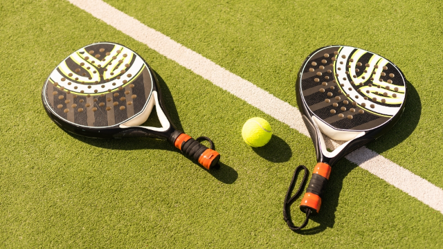 Perkembangan Terbaru Olahraga Padel di Dunia & Indonesia