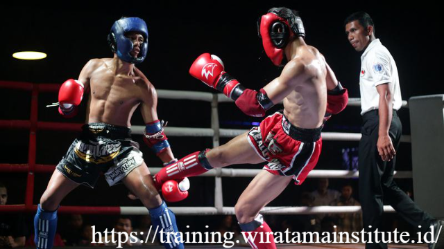 Turnamen Muaythai Nasional: 100 Petarung Muda
